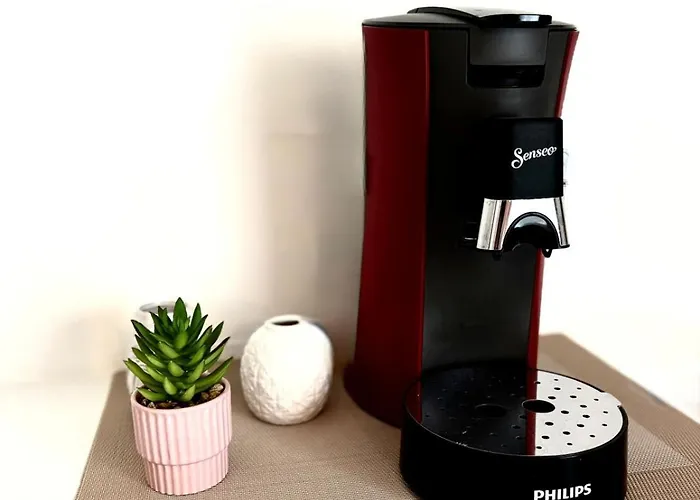 L'escapade Des Dômes - Proche De La Gare - Garage - Jaccuzi